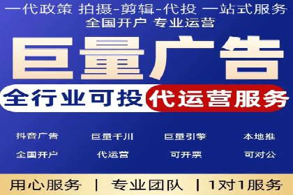 信息流广告的精准定位与效果优化案例分析